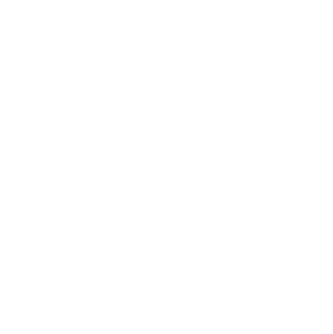 Logo_Lavin